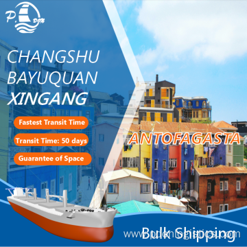 Bulk Shipping From Tianjin To Antofagasta